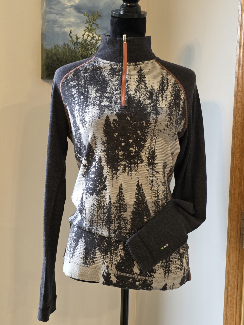 Smartwool Women's Classic Thermal 100% Merino Base-In Mountain Scape, Large